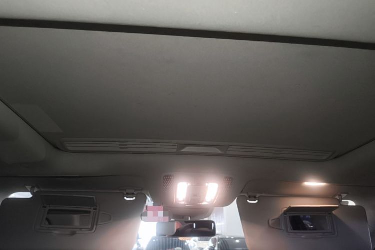 Used Mercedes-Benz GLE 2020 GLE 350 4MATIC Dynamic Edition Special Version Headliner
