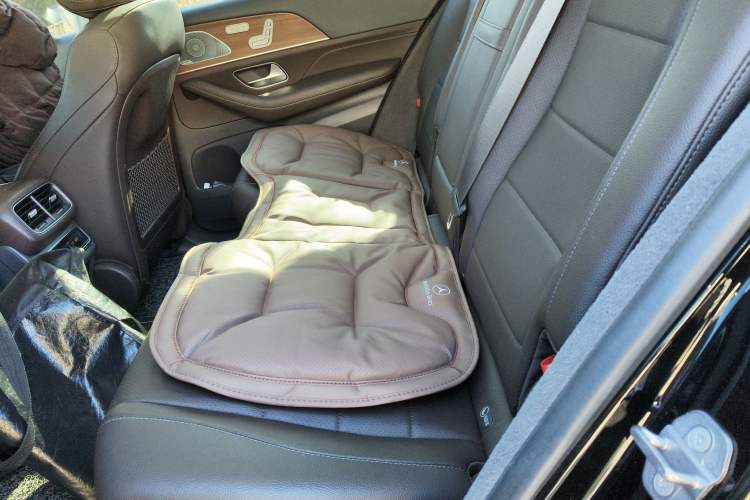 Used Mercedes-Benz GLE 2020 GLE 350 4MATIC Luxury Model Left Rear Seat