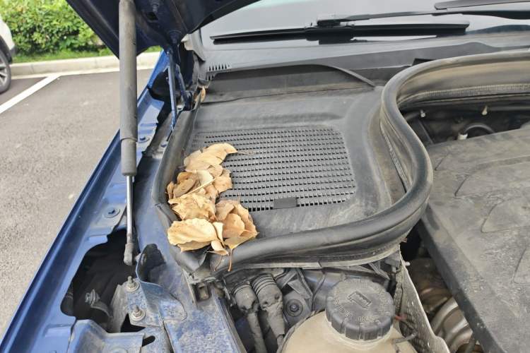 Used Mercedes-Benz GLE 2020 GLE 350 4MATIC Fashion Model Engine Bay Right