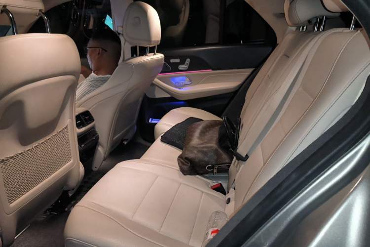 Used Mercedes-Benz GLE 2020 GLE 450 4MATIC Stylish Model Left Rear Seat