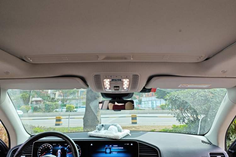 Used Mercedes-Benz GLE 2021 GLE 350 4MATIC Dynamic Edition Headliner