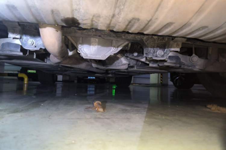 Used Mercedes-Benz GLE 2022 GLE 350 4MATIC Stylish Model Chassis Rear