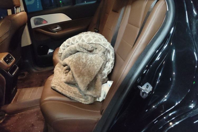 Used Mercedes-Benz GLE 2024 GLE 350 4MATIC Dynamic Edition Left Rear Seat