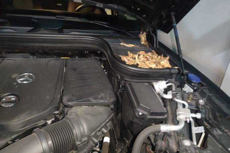 Used Mercedes-Benz GLE 2025 GLE 350 4MATIC Stylish Model Engine Bay Left