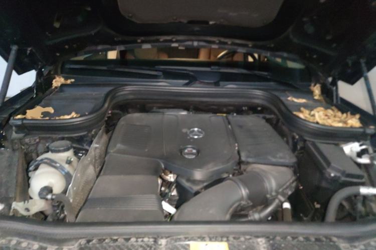 Used Mercedes-Benz GLE 2025 GLE 350 4MATIC Stylish Model Engine Bay