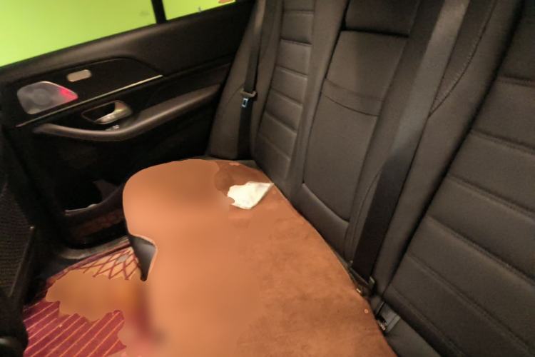 Used Mercedes-Benz GLE-Class  Left Rear Seat