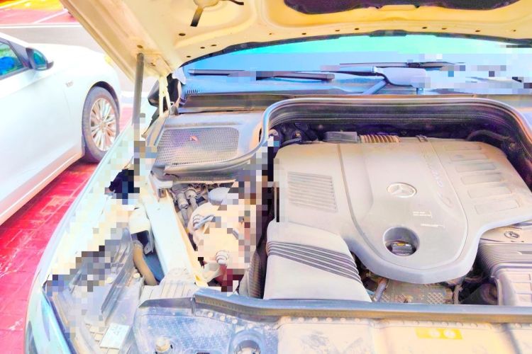 Used Mercedes-Benz GLE-Class 2020 GLE 450 U.S. specification Engine Bay Right