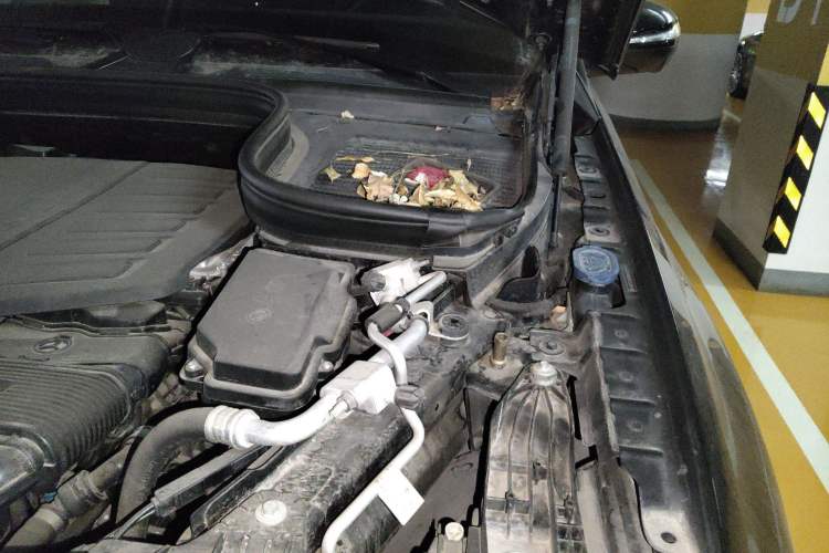 Used Mercedes-Benz GLE Coupe 2020 GLE 450 4MATIC Coupe SUV Fashion Model Engine Bay Left