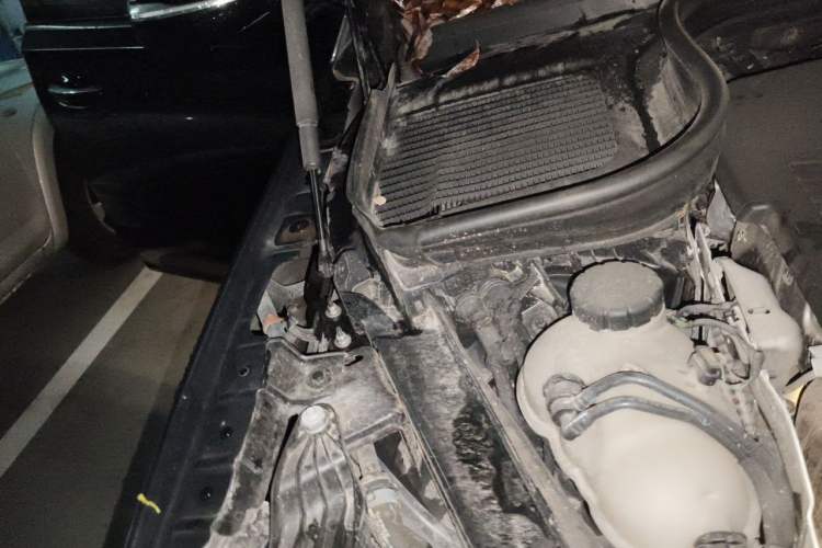 Used Mercedes-Benz GLE Coupe 2020 GLE 450 4MATIC Coupe SUV Fashion Model Engine Bay Right