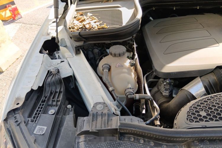Used Mercedes-Benz GLE Coupe 2020 GLE 350 4MATIC Coupe SUV Fashion Model Engine Bay Right