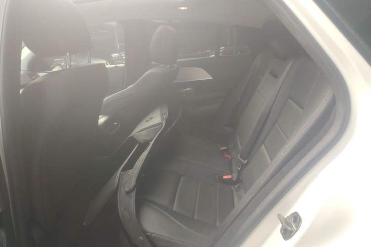 Used Mercedes-Benz GLE New Energy 2021 GLE 350 e 4MATIC Left Rear Seat