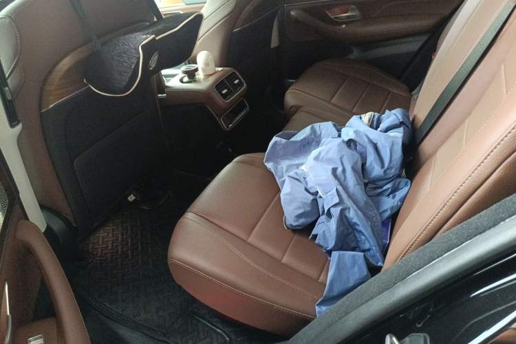 Used Mercedes-Benz GLE New Energy 2024 GLE 400 e 4MATIC Left Rear Seat