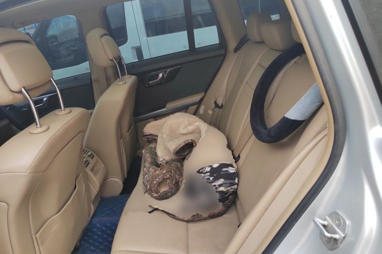Used Mercedes-Benz GLK-Class 2011 GLK 300 4MATIC Fashion Model Left Rear Seat