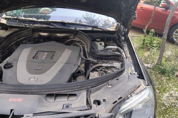 Used Mercedes-Benz GLK-Class 2013 GLK 300 4MATIC Dynamic Sunroof Model Engine Bay Left