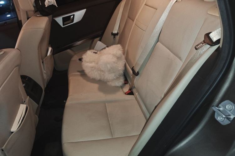 Used Mercedes-Benz GLK-Class 2013 GLK 300 4MATIC Dynamic Edition Left Rear Seat