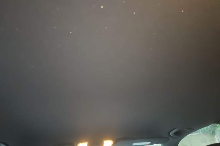 Used Mercedes-Benz GLK-Class 2013 GLK 300 4MATIC Dynamic Edition Headliner