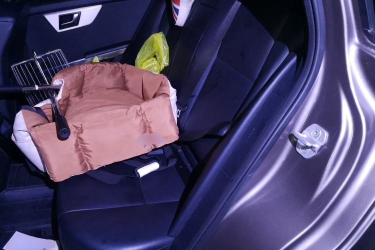 Used Mercedes-Benz GLK-Class 2013 GLK 300 4MATIC Dynamic Edition Left Rear Seat