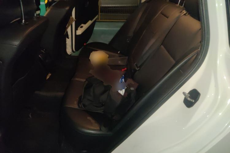 Used Mercedes-Benz GLK-Class 2013 GLK 300 4MATIC Dynamic Edition Left Rear Seat