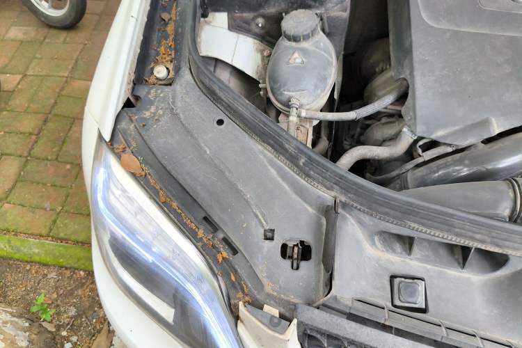 Used Mercedes-Benz GLK-Class 2014 GLK 200 Standard Model Engine Bay Right