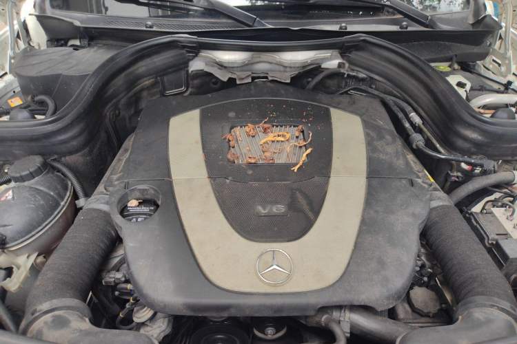 Used Mercedes-Benz GLK-Class 2015 GLK 300 4MATIC Fashion Edition Ultimate Version Engine Bay