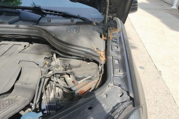 Used Mercedes-Benz GLS 2016 GLS 400 4MATIC Dynamic Model Engine Bay Left