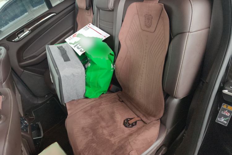 Used Mercedes-Benz GLS 2017 GLS 400 4MATIC Dynamic Model Left Rear Seat
