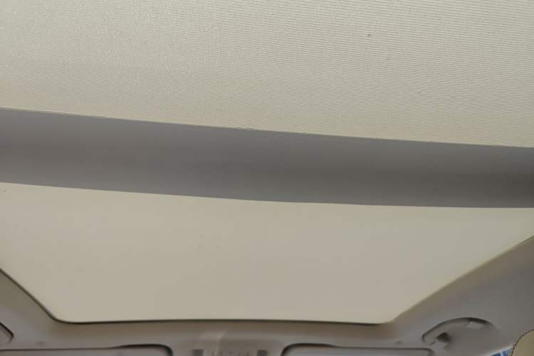 Used Mercedes-Benz GLS 2020 GLS 450 4MATIC Dynamic Edition Headliner