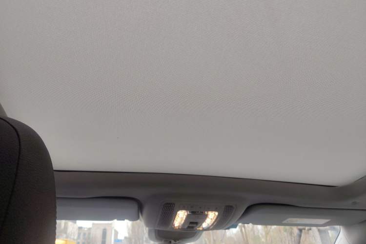 Used Mercedes-Benz GLS 2020 GLS 450 4MATIC Dynamic Edition Headliner