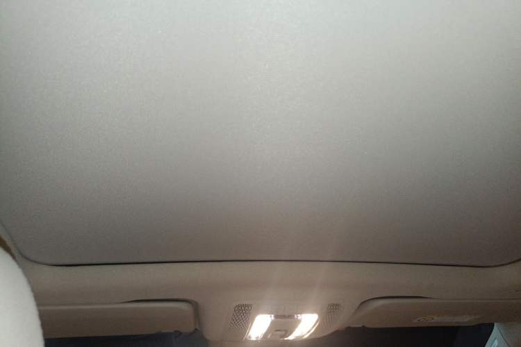 Used Mercedes-Benz GLS 2020 GLS 450 4MATIC Dynamic Edition Headliner