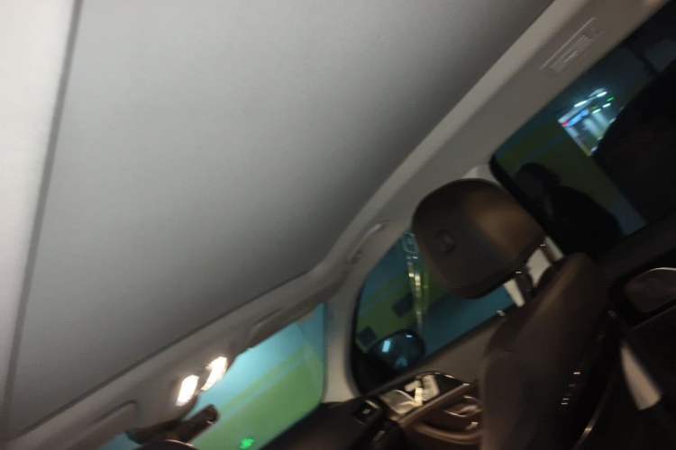 Used Mercedes-Benz GLS 2020 GLS 450 4MATIC Dynamic Edition Headliner