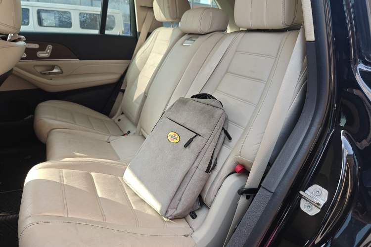 Used Mercedes-Benz GLS 2020 GLS 450 4MATIC Luxury Model Left Rear Seat