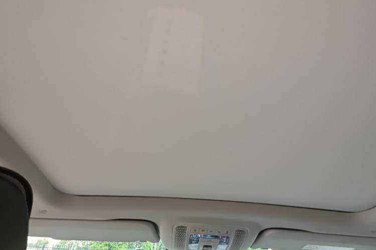Used Mercedes-Benz GLS 2021 Facelift GLS 450 4MATIC Luxury Edition Headliner