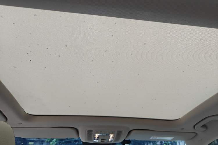 Used Mercedes-Benz GLS 2022 Second Facelift GLS 450 4MATIC Luxury Edition Headliner