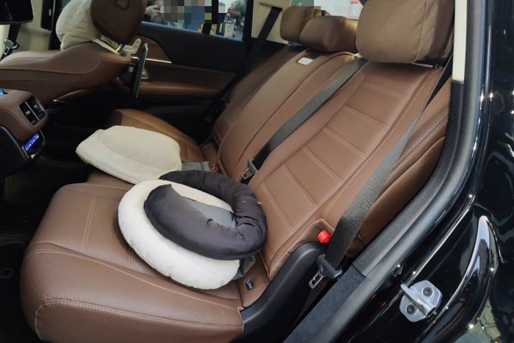 Used Mercedes-Benz GLS 2024 GLS 450 4MATIC Luxury Model Left Rear Seat