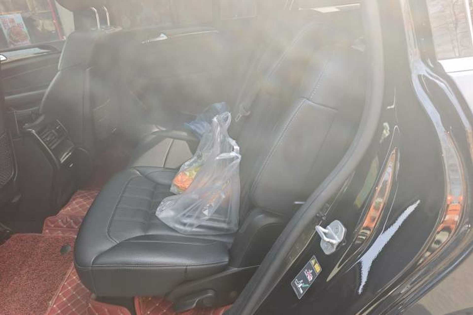 Used Mercedes-Benz GLS-Class 2016 GLS 450 Low-Power Version U.S. Specification Left Rear Seat
