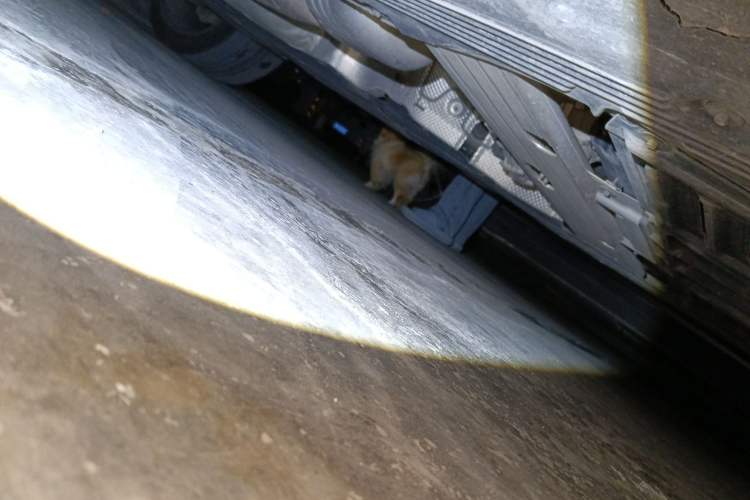 Used Mercedes-Benz GLS-Class  Chassis Front Right