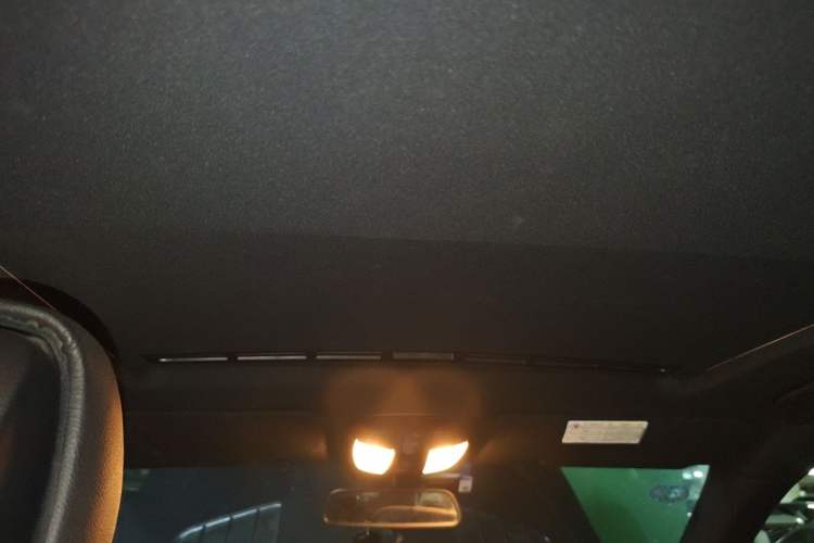 Used Mercedes-Benz M-Class 2010 ML 350 4MATIC Luxury Special Edition Headliner
