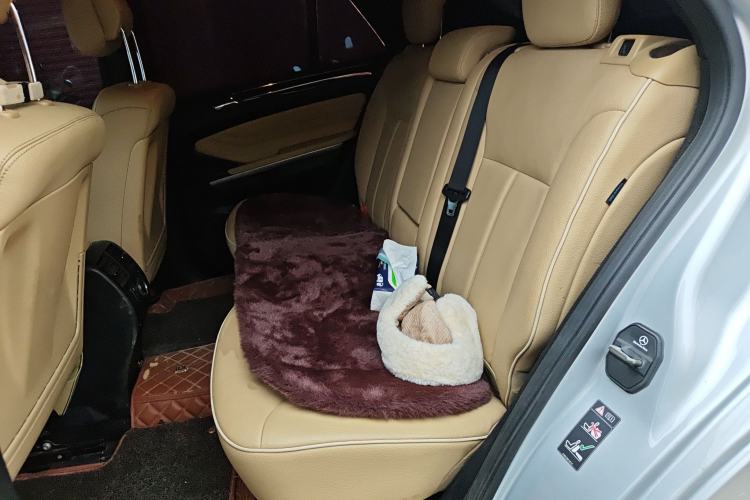Used Mercedes-Benz M-Class 2010 ML 350 4MATIC Luxury Special Edition Left Rear Seat