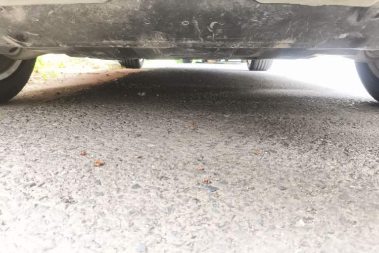 Used Mercedes-Benz M-Class 2012 ML 350 Sport Edition Chassis Front