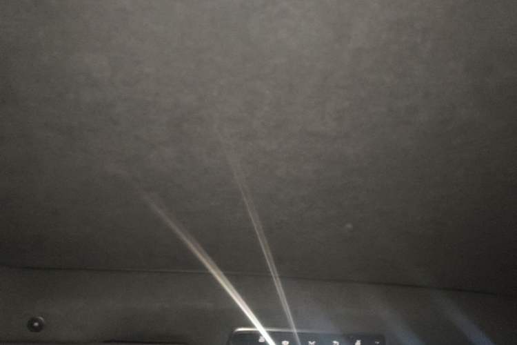 Used Mercedes-Benz Maybach S-Class  Headliner