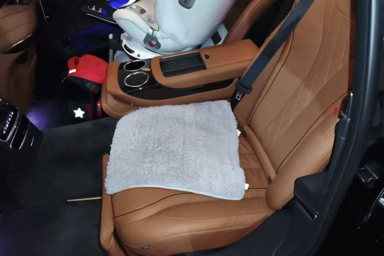 Used Mercedes-Benz Maybach S-Class 2020 S 450 4MATIC Collector's Edition Left Rear Seat