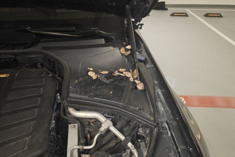 Used Mercedes-Benz Maybach S-Class 2021 S 480 4MATIC Engine Bay Left