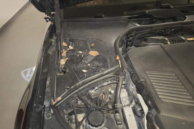 Used Mercedes-Benz Maybach S-Class 2021 S 480 4MATIC Engine Bay Right