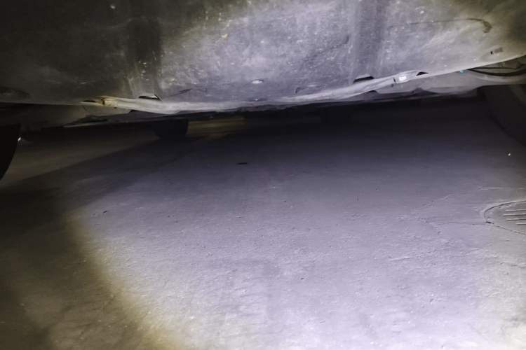 Used Mercedes-Benz R-Class 2010 R 300 L Luxury Model Chassis Rear
