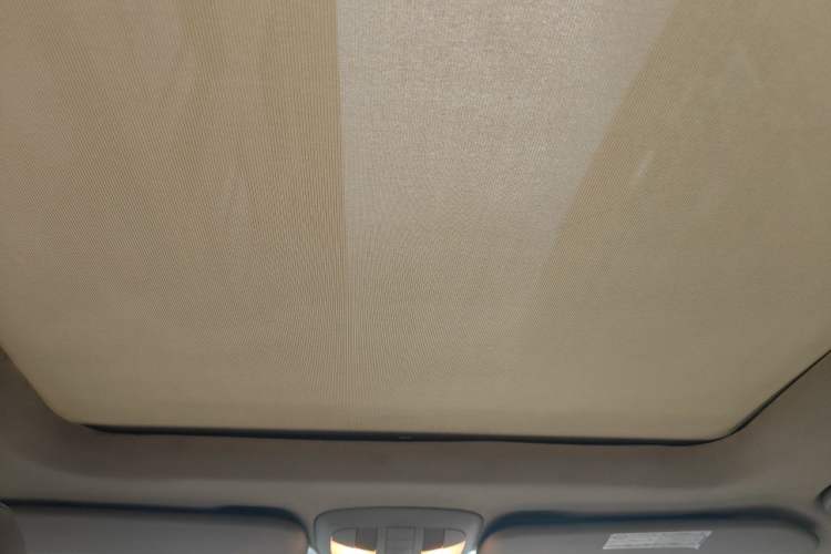 Used Mercedes-Benz R-Class 2010 R 300 L Luxury Model Headliner