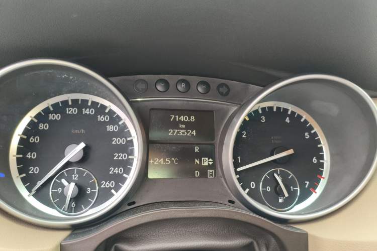 Used Mercedes-Benz R-Class 2010 R 300 L Business Model Odometer Close Up