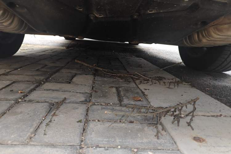 Used Mercedes-Benz R-Class 2011 R 300 L Business Model Chassis Rear