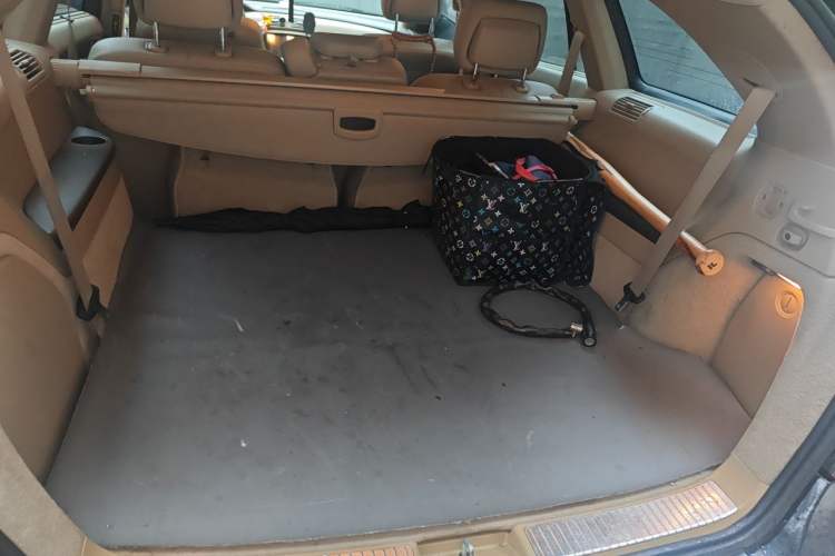 Used Mercedes-Benz R-Class 2011 R 300 L Business Model Trunk