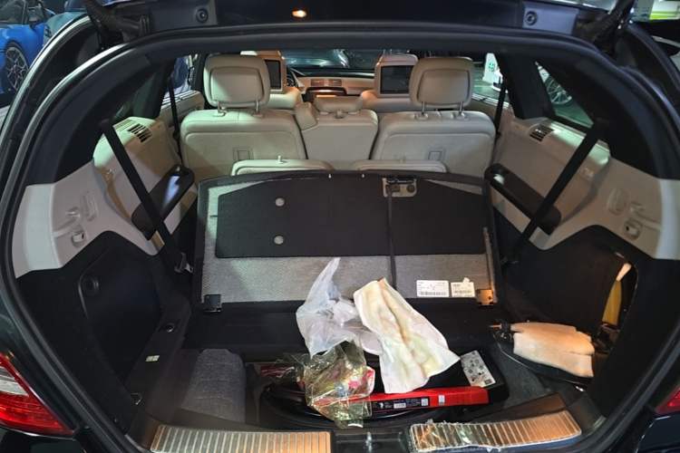 Used Mercedes-Benz R-Class 2011 R 300 L Business Model Trunk