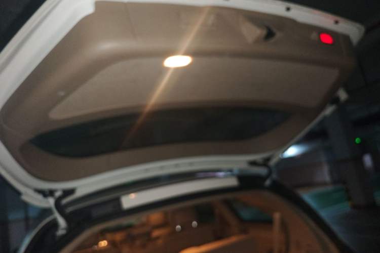 Used Mercedes-Benz R-Class 2011 R 300 L Business Model Trunk